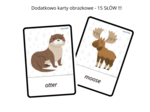 Winter Artic Animals Worksheet Set + Flashcards- zwierzęta arktyczne, karty pracy dla przedszkolaka, ucznia zerówki przedszkolnej, I spy, sudoku, labirynt, karty obrazkowe , język angielski
