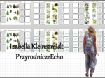 Notatki okienkowe/stacje zadaniowe/notatki/notatki graficzne/karty pracy/sketchnotki „Jakie drzewa rosną w lesie?” w pdf. - Przyroda 4, dział „Odkrywamy tajemnice życia w wodzie i na lądzie”.