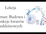 Klasa 1 ( podstawa ) - Budowa i funkcje kwasów nukleinowych - prezentacja