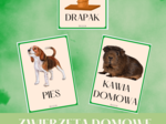 ZWIERZĘTA DOMOWE - karty demonstracyjne