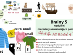 Brainy 5, unit 6, materiały rozszerzające podręcznik, was/were