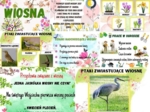 Plansze- WIOSNA
