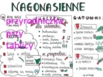 Klasa 5. Biologia. Nagonasienne