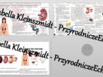 Zestaw sketchnotek – notatek do całego działu „Układ wydalniczy” wykonanych w power point do edycji. Biologia 7