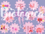 O CZYM BĘDĘ SIĘ UCZYŁ W TYM ROKU NA BIOLOGII? Obrazkowe karty na pierwszą lekcję dla klas 5-8.