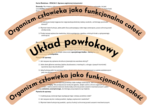 Zagadki detektywistyczne - stacje dydatktyczne Organizm człowieka jako funkcjonalna całość + Układ powłokowy