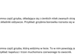 Fiszki- grzyby