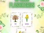 Spring - flashcards