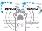 Dyplomy / wkładki na zakończenie roku szkolnego