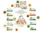 Gazetka szkolna PIRAMIDA ŻYWIENIOWA - 10 zasad piramidy żywieniowej