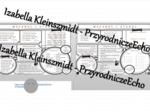 Minizestaw na temat „Metanol i etanol” – sketchnotka + karta pracy w power point + gratisowy link do prezentacji multimedialnej niekomercyjnej wykonanej w genial.ly do indywidualnego pobrania i użycia do celów niekomercyjnych. Chemia 8, „Pochodne węglowo