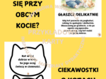 🐱 DZIEŃ KOTA