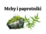 mchy + paprotniki 2 KLASA BIOLOGIA ROZSZERZONA