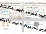 Minizestaw na temat „„Budowa kości” – sketchnotka + karta pracy w power point + gratisowy link do prezentacji multimedialnej niekomercyjnej wykonanej w genial.ly do indywidualnego pobrania i użycia do celów niekomercyjnych. Biologia 7, „Układ ruchu”