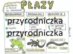 Klasa 6. Biologia. Przegląd płazów