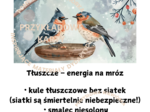 PTAKI ZIMĄ
