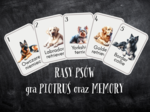 Gra PIOTRUŚ i MEMORY - rasy psów
