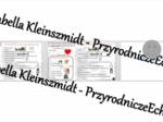 Minizestaw na temat „Moja mała ojczyzna” – sketchnotka + karta pracy w power point + gratisowy link do prezentacji multimedialnej niekomercyjnej wykonanej w genial.ly do indywidualnego pobrania i użycia do celów niekomercyjnych. Geografia 7, „Mój region 