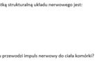Test- regulacja nerwowa człowieka