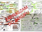 ? Biologia 5 klasa - tkanki i organy roślinne - zestaw sketchnotek