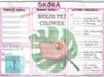 Skóra (budowa i funkcje) - kolor
