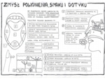 Zmysł smaku, powonienia, dotyku - klasa 7 - sketchnotka