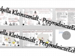 Minizestaw na temat „Skały i surowce mineralne” – sketchnotka + karta pracy w power point + gratisowy link do prezentacji multimedialnej niekomercyjnej wykonanej w genial.ly do indywidualnego pobrania i użycia do celów niekomercyjnych. Geografia 7, „Środ
