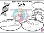 Nośnik informacji genetycznej DNA- karta pracy klasa 8