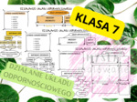Biologia 7. Działanie układu odpornościowego. Plakat + sketchnotka+ karta pracy