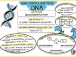 Nośnik informacji genetycznej - DNA - sketchnotka - klasa 8