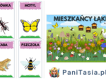 Mieszkańcy łąki - plakat + zwierzęta i rośliny PAKIET