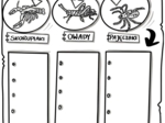 Klasa 6. BIologia. Karta pracy. Stawonogi (karta pracy do uzupełnienia)