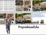 Materiał do zalaminowania/praca w grupach/stacje zadaniowe/układanka/puzzle „Przegląd i znaczenie gadów” w pdf. Biologia 6, dział „Kręgowce zmiennocieplne”.