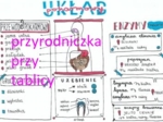 Klasa 7. Biologia. Układ pokarmowy