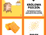 PSZCZOŁY🐝