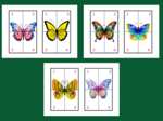 DZIEŃ MOTYLA – puzzle – układanka- układanki – WIOSNA - biblioteka – świetlica – przedszkole – 12 wersji