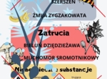 Jak postępować w niebezpiecznych sytuacjach? klasa 4 przyroda