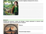 Zestaw lekturowy "Hobbit, czyli tam i z powrotem"