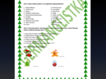 Christmas - Boże Narodzenie - słowniczek obrazkowy (26 słówek) + 8 ćwiczeń w tym mini gra