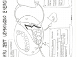 Jak z cukru powstaje energia - klasa 5