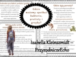 Sketchnotka/notatka/streszczenie/wklejka/ściąga dla ucznia i nauczyciela. Temat „Gdzie możemy spotkać bakterie, protisty i grzyby?” w pdf. Biologia 5 dział „Klasyfikacja i systematyka. Wirusy. Bakterie. Prostisty. Grzyby.”. Wykonana na podstawie podręczn