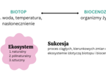 ekologia i różnorodność biologiczna KLASA 4 RZOSZERZENIE BIOLOGIA