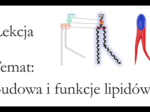 Klasa 1 ( rozszerzenie) - Budowa i funkcje lipidów - prezentacja