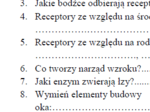 Receptory, narząd wzroku - karta pracy