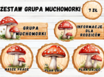 ZESTAW GRUPOWY GRUPA MUCHOMORKI
