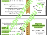 Potęgowanie - wklejka do zeszytu, klasa 4-6.