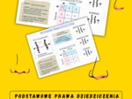 Podstawowe prawa dziedziczenia – sketchnotka – wklejka | Biologia | klasa 8