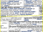 Polskie księstwa dzielnicowe (XII–XIII w.) – notatki i karta pracy