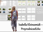 Materiał do zalaminowania/praca w grupach/stacje zadaniowe/układanka/puzzle „Korzeń - organ podziemny rośliny” w pdf. Biologia 5, dział „Tkanki i organy roślinne”.