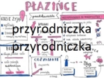 Klasa 6. Biologia. Płazińce
